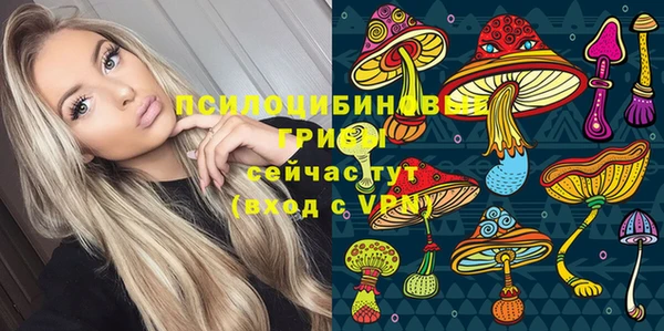мяу мяу мука Магадан