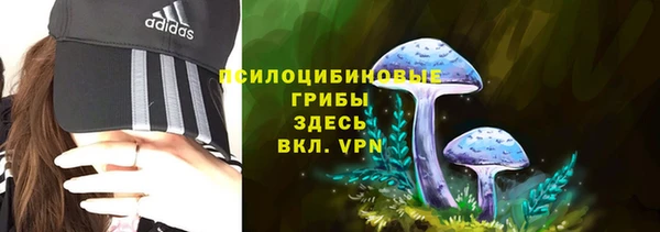 мяу мяу мука Магадан